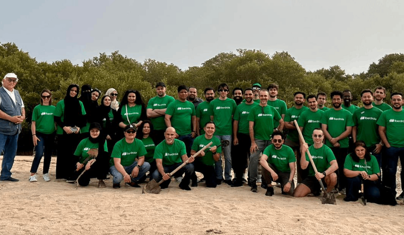 Employees at Iberdrola Innovation Middle East planted more than 50 mangrove saplings